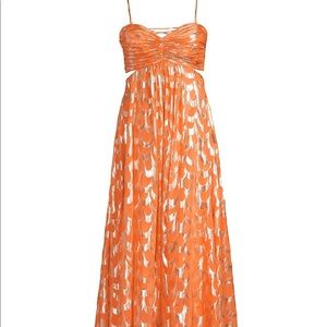 Delfi Collective Dress